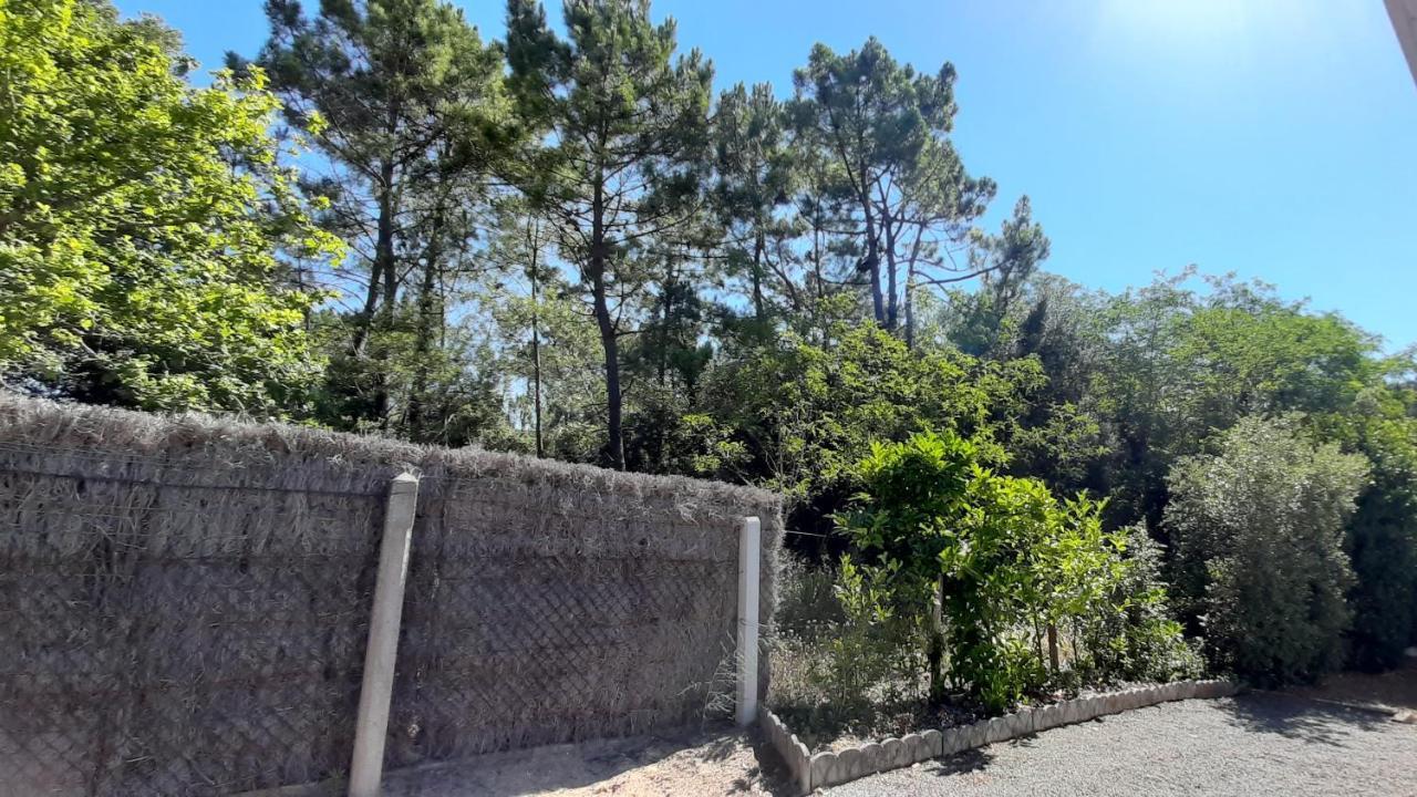 La Foret Des Rossignols - Maison 2 Chambres, Jardin Et Terrasse Saint-Jean-de-Monts Exterior foto